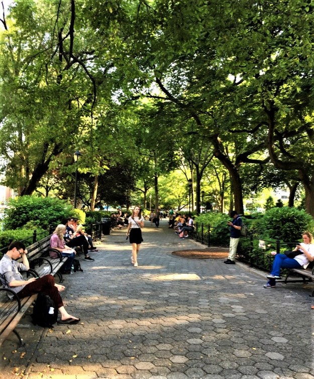 Union Square Park 5-54 p.m. 6-12-2017.jpg