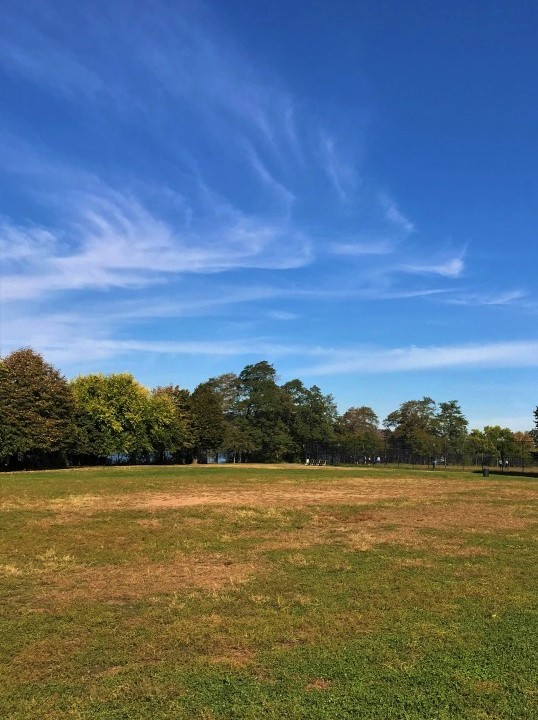 7 - Inwood Hill Park