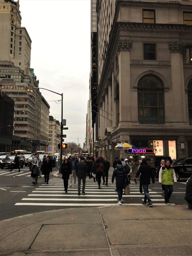 Fifth Avenue 4-23 p.m. 2-6-2019.JPG