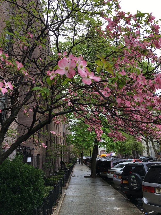 street scene, Woodside, Queens, NY