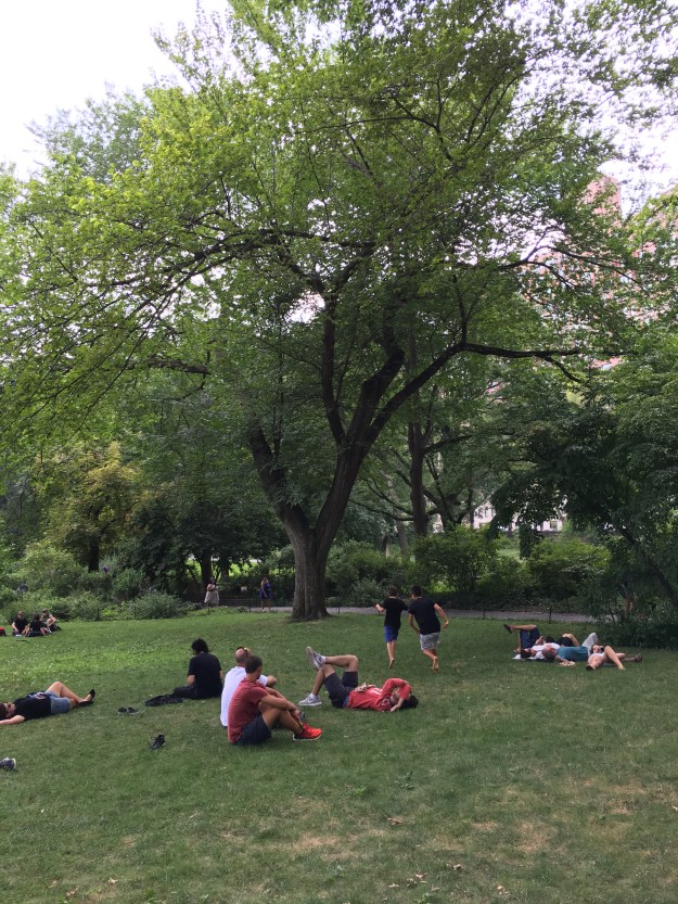central-park-4-04-p-m-8-8-2016