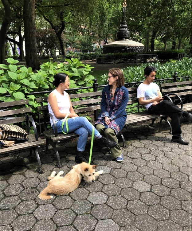 Madison Square Park (7).jpg